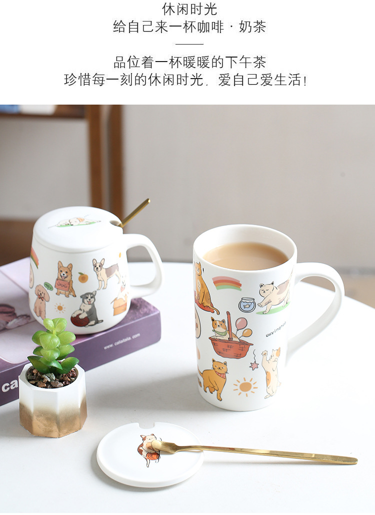 19.jpg?x-oss-process=image/format,png