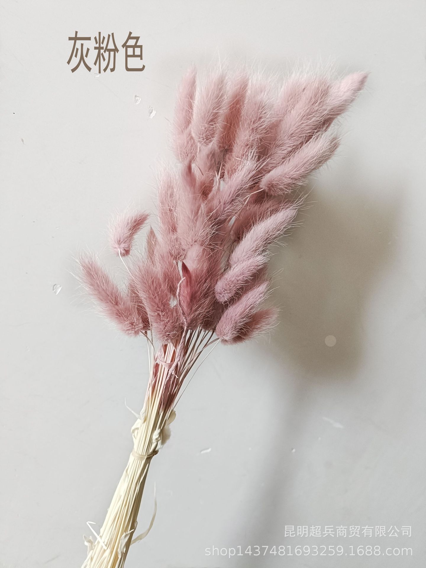IMG20220915142018.jpg