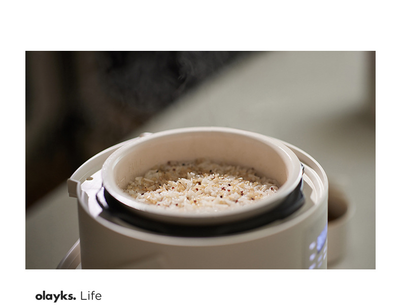 olayks立时畅销日韩设计电压力锅家用小型迷你智能2L高压锅饭锅煲详情6