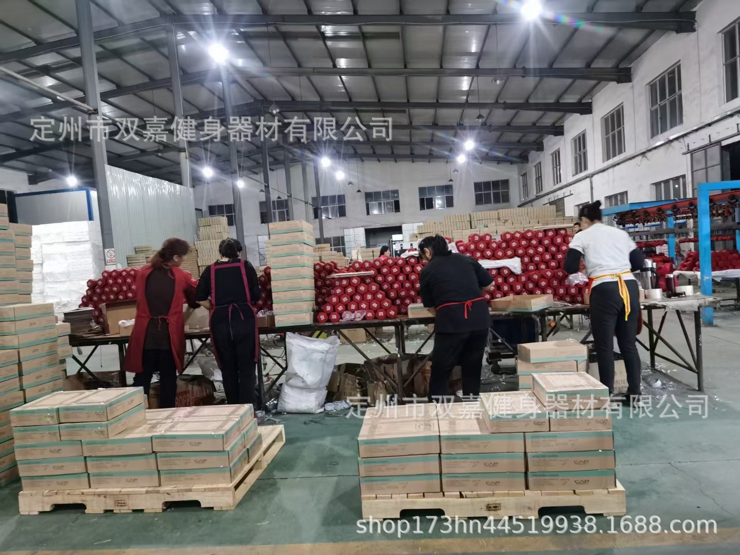 哑铃女士健身家用器材实心铁浸塑小哑铃六角儿童学生瑜伽负重哑铃详情3