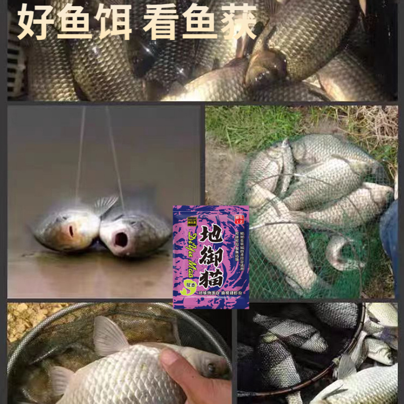 The bait in stock is available at the Imperial Cat Wild Fishing, specializing in carp and crucian carp baits. The fishy and fragrant hell fish food wild fishing can be pulled or rolled pic 9
