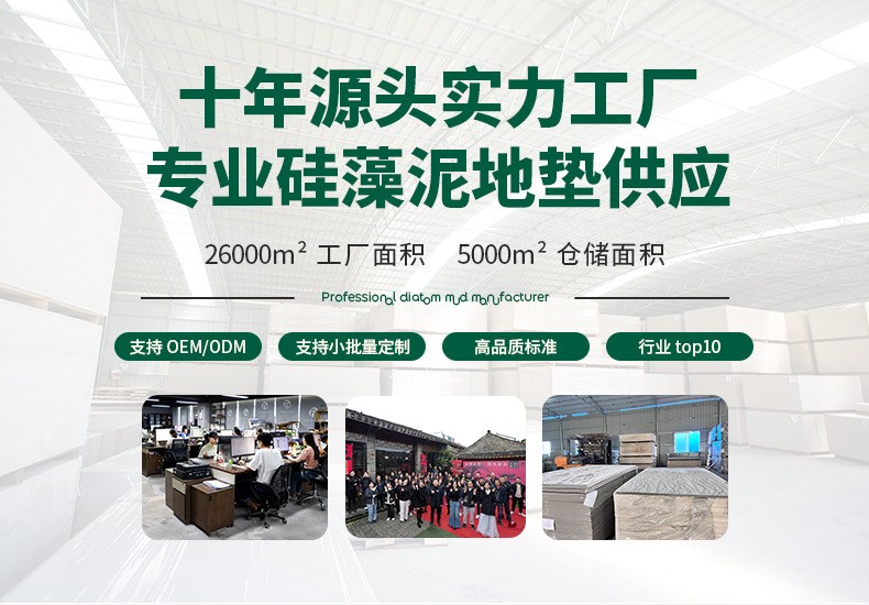 跨境爆款硅藻泥硬垫浴室地垫卫生间门口防滑脚垫速干吸水垫子雕刻详情1