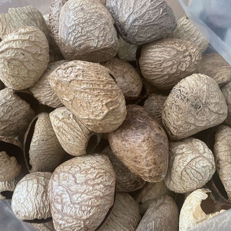 易碎印尼黑果果壳风铃diy植物混合果壳果实挂件果壳黑白两色详情4