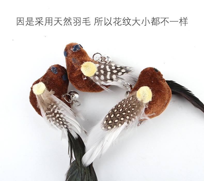 Z新款猫玩具羽毛逗猫棒飞鸟铃铛替换头解闷逗趣宠物用品厂家批发详情8