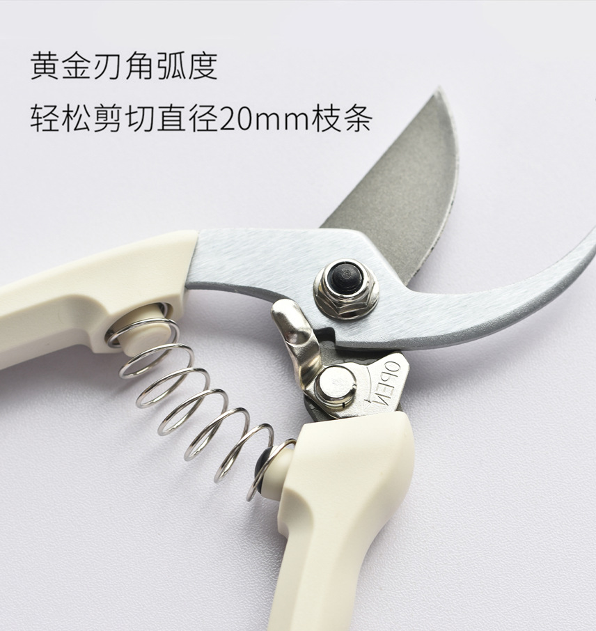 佰世园艺新款家用花艺树枝剪园林果树粗枝剪园艺工具五金剪刀详情2