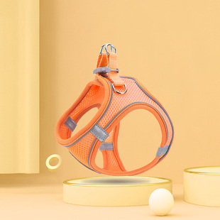 宠物双头遛狗绳一拖二牵引绳防缠绕渐变狗链子狗狗牵引绳宠物用品详情8