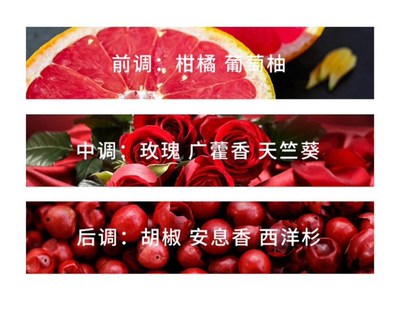 外贸跨境爆款迪香儿大地男士香水品牌同款高级感喷雾持久淡香批发详情5