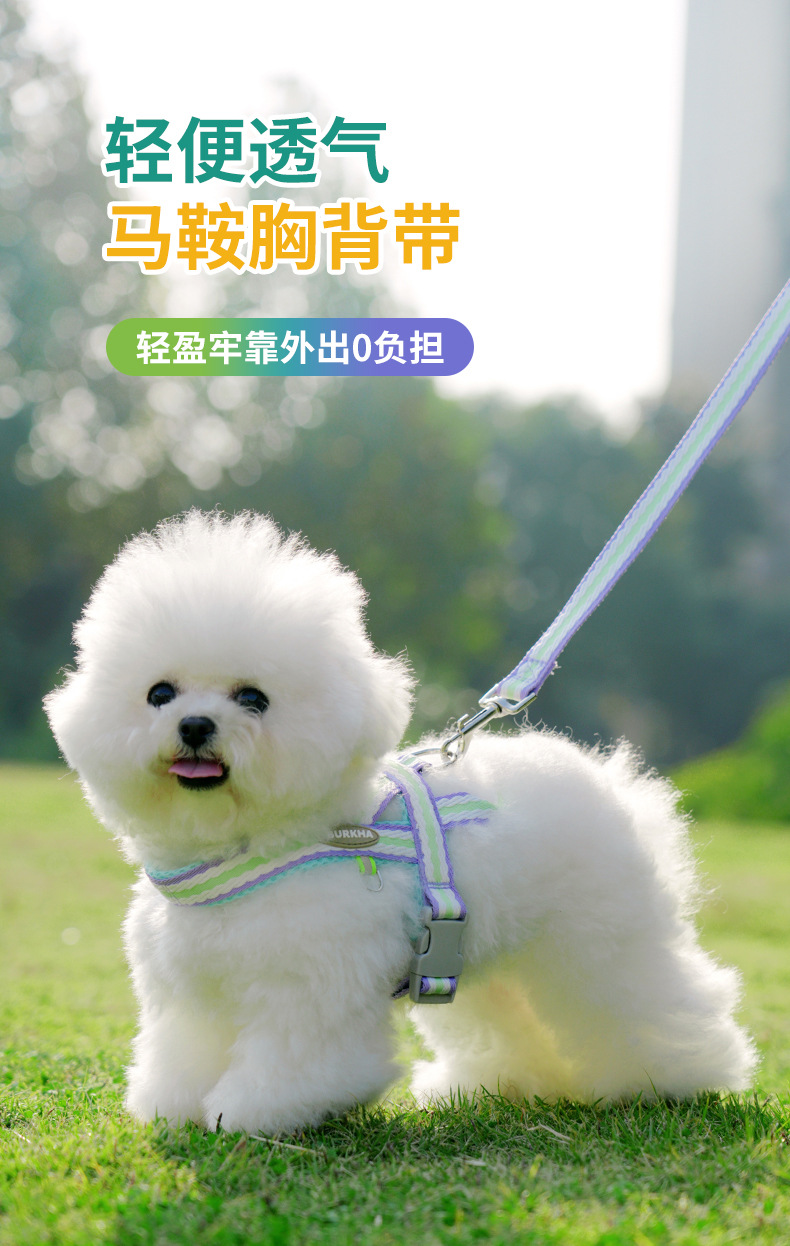 狗狗牵引绳防爆冲小型犬宠物背心式胸背带泰迪柯基胸背带遛狗绳子详情1