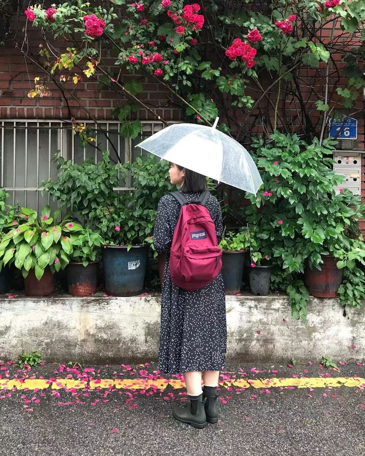 跨境外贸JANSPORT双肩包学生书包男女款背包蝶漾青漾雾霾蓝可代发详情42