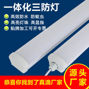 t8灯管铝塑分体宽电压双排灯珠高流明无频闪t8led灯管1米2详情5