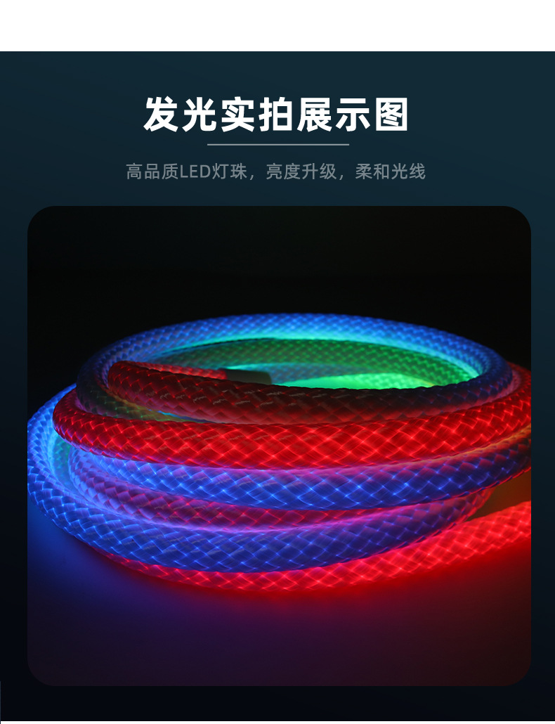 跨境专供龙纹编织幻彩灯带LED霓虹灯10mm防水Led柔性霓虹灯条形灯详情11
