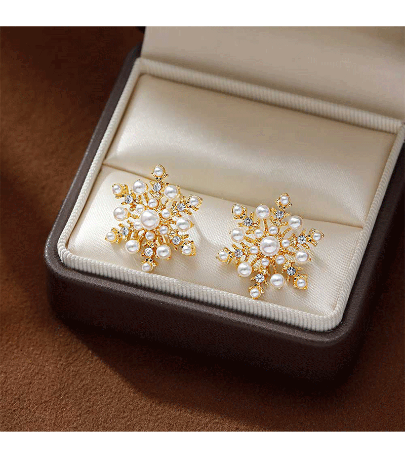 Hyacinth925 Silver Needle Exquisite Zircon Snowflake Stud Earrings Autumn/Winter 2026 New bestseller, high-end and unique design earrings for women pic 2