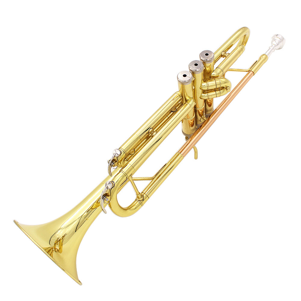 SLADE trompeta en si bemol importado latón cuerpo tubo fósforo cobre color principiante práctica banda tocando trompeta trompeta wholesale pic 9