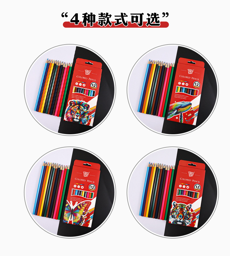 动物世界彩色铅笔套装儿童小学生绘画油性厂家批发办公书写工具详情10