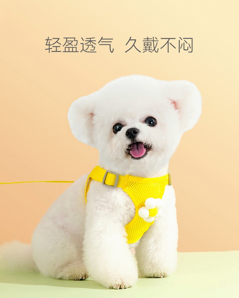 小狗狗牵引绳背心式遛狗绳子泰迪比熊小型犬胸背带外出狗链子宠物详情12