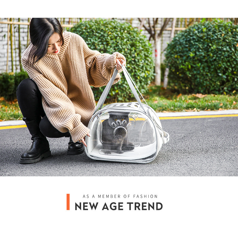 Pet bags, portable bags for going out, multi-purpose transparent space capsule hand-held cat bags, large-capacity two small cat backpacks pic 8