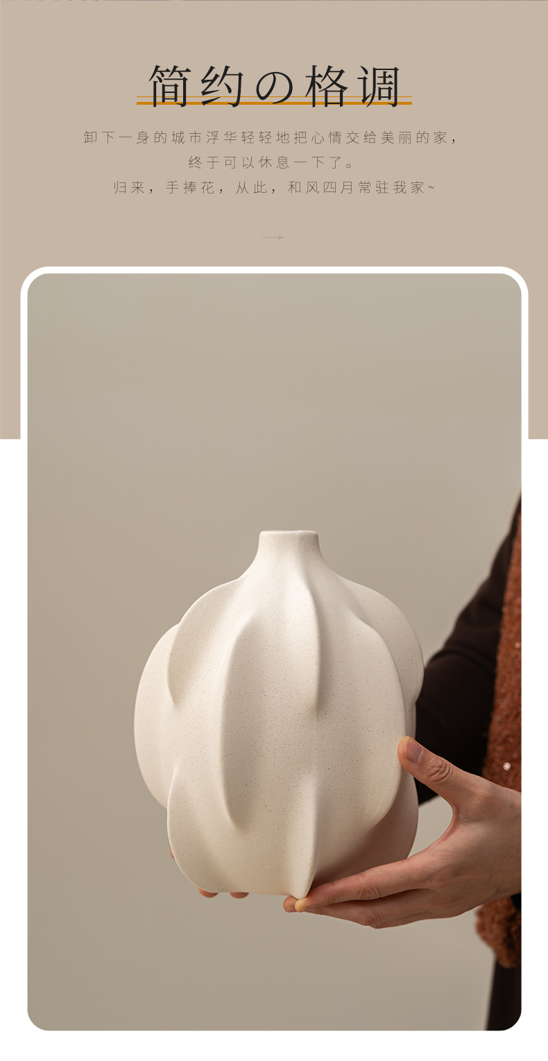 Cross-border wholesale and shipping of 2026 new ceramic vases, home hydroponic flower arrangements, tabletop and living room modern decorations pic 9
