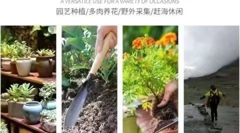 种菜神器锰钢小铲子种花养花种菜工具挖野菜花卉除草挖土怀炉套详情2