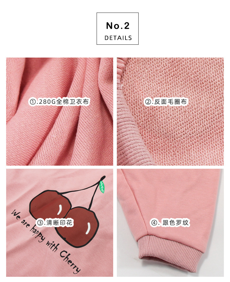 Pet it cartoon cotton dog hoodies, Corgi teddy puppies, cherry clothes, Amazon pet clothing wholesale pic 4