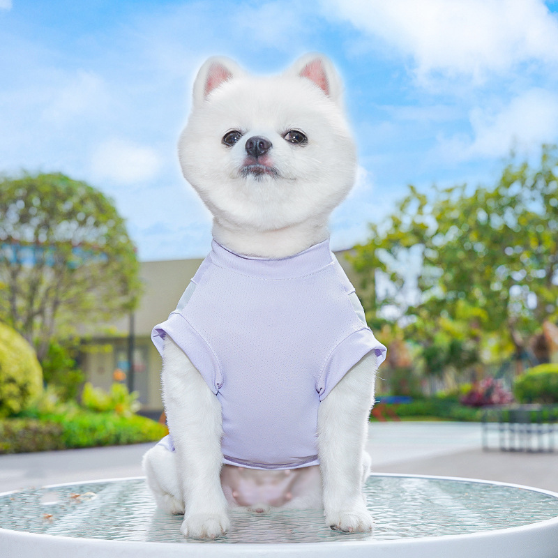 春夏季狗狗用品猫咪冰丝猫背心小中型犬外出防晒狗衣服宠物衣服详情25