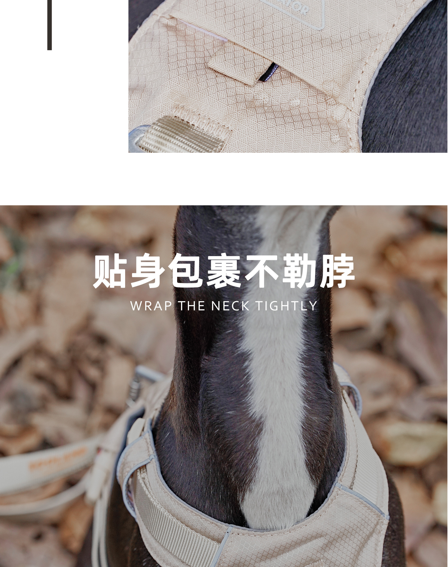 ZOOLAND狗狗胸背牵引绳遛幼小中大型犬泰迪柯基比熊边牧博美链子详情9
