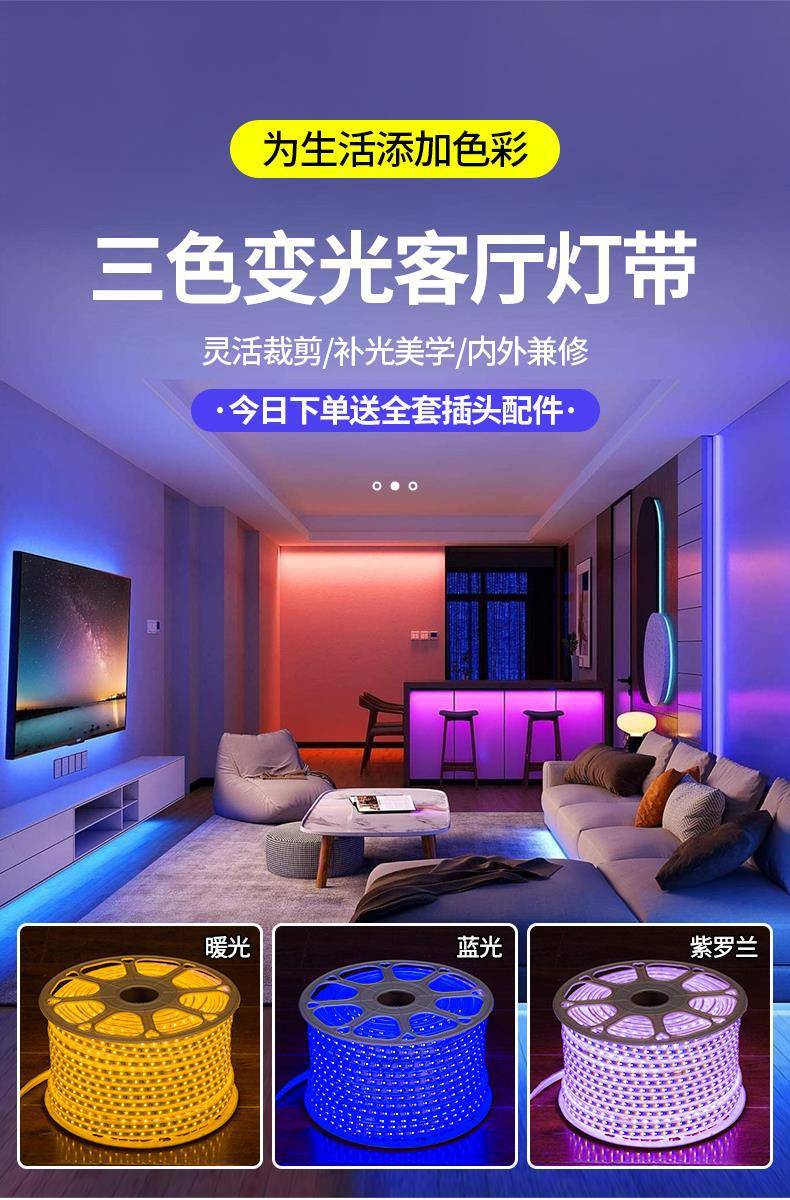 led三色变光灯带外贸专供220V室内吊顶新年氛围超亮户外防水灯条详情8