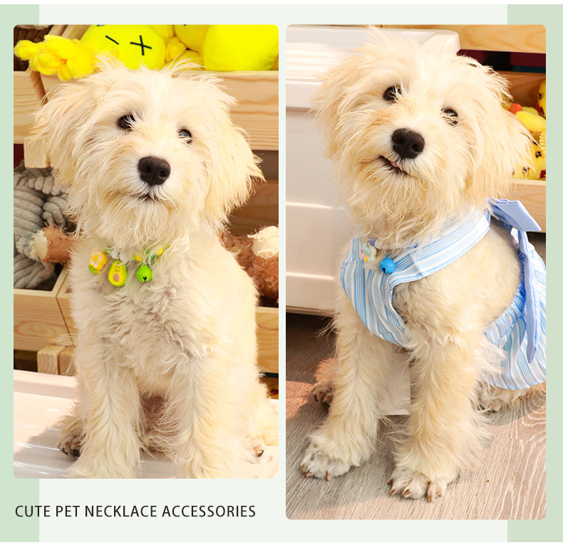 宠物项圈狗狗彩色铃铛编织颈圈小猫舒适安全扣宠物装饰手链饰品详情12