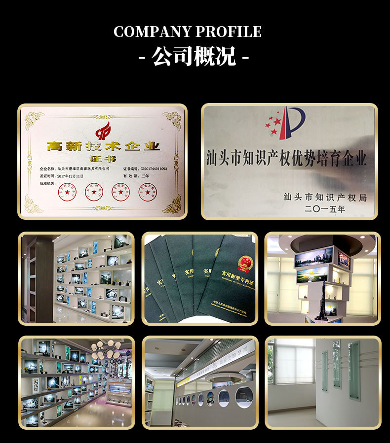 公司概况1