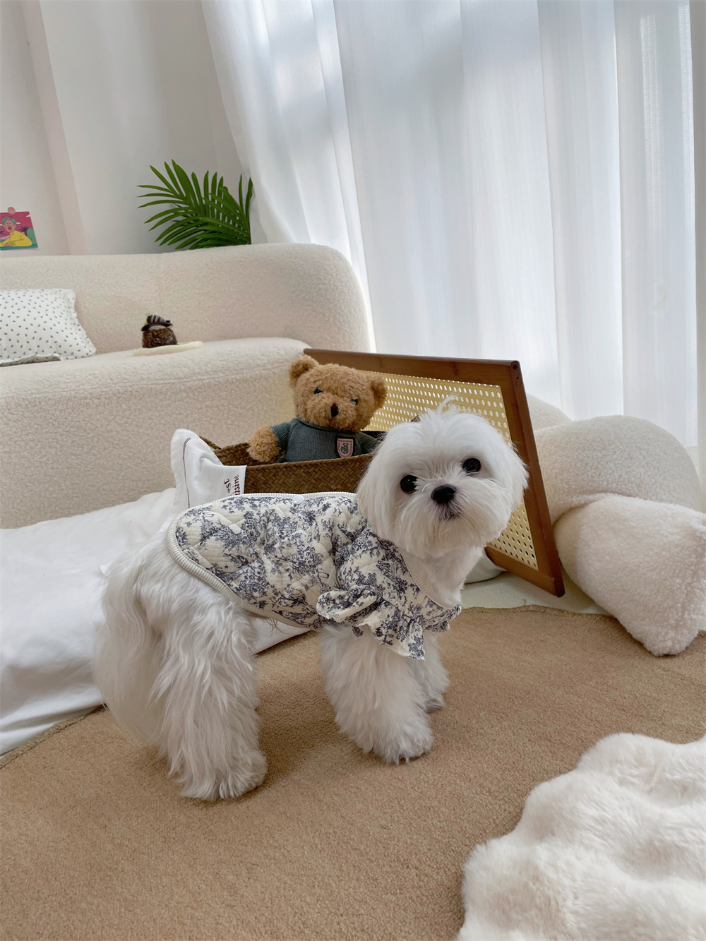 飞袖纱布宠物衣服加棉家居服小型犬小狗狗秋冬装保暖小猫咪猫衣服详情13