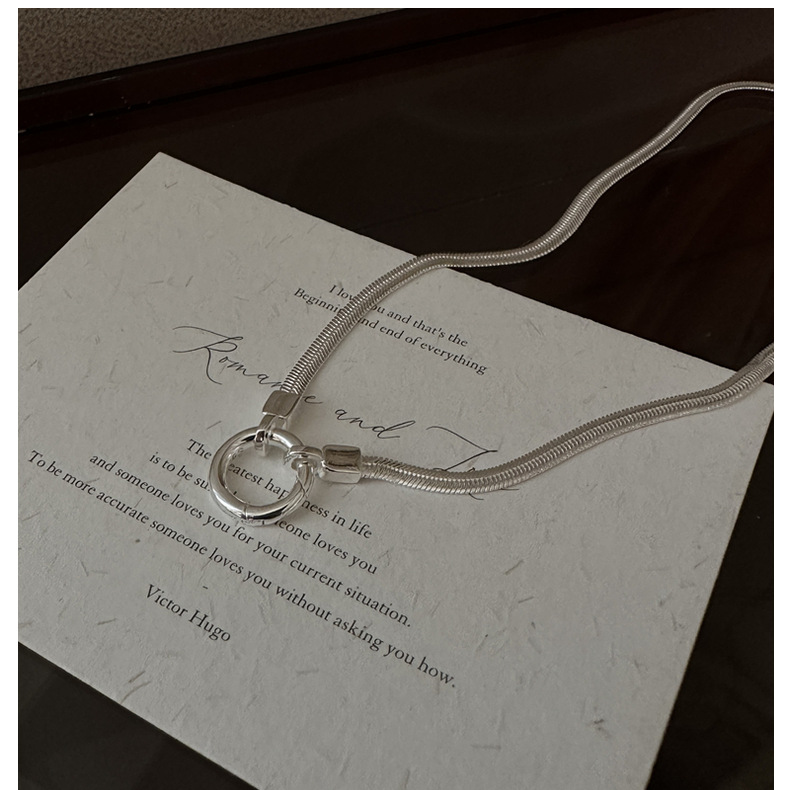 S925 sterling silver Korean version niche design snake bone necklace, Korean style simple and retro collarbone chain wholesale pic 13