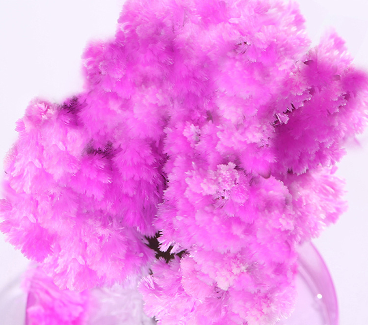 化学实验树魔法圣诞树装饰diy手工趣味儿童科学纸树开花圣诞装饰详情8