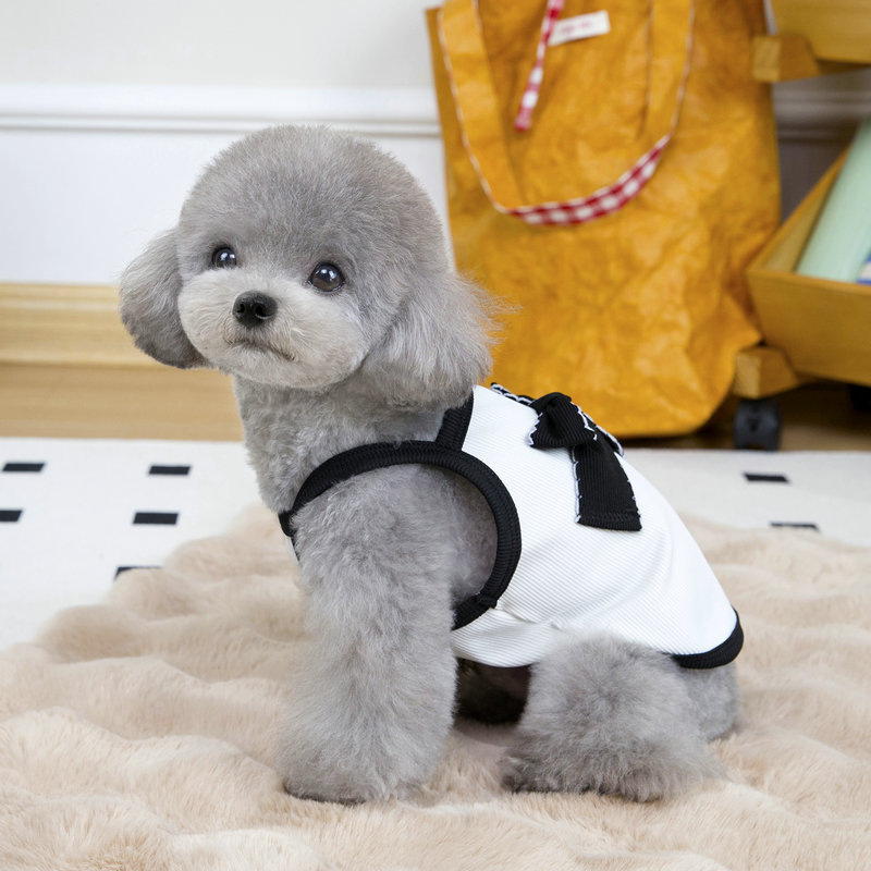 宠物服装狗狗衣服春夏新款泰迪狗宠物服饰猫咪夏季薄款25简约背心详情6