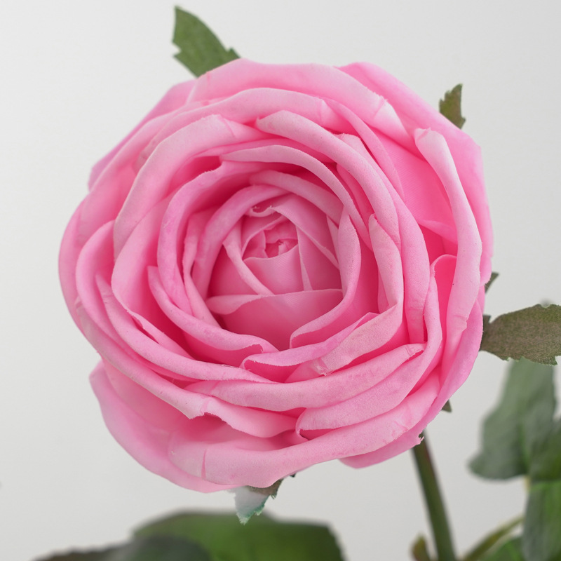 仿真单支手感保湿桑拉玫瑰 婚庆婚礼配材家居桌面装饰摄影道具详情12