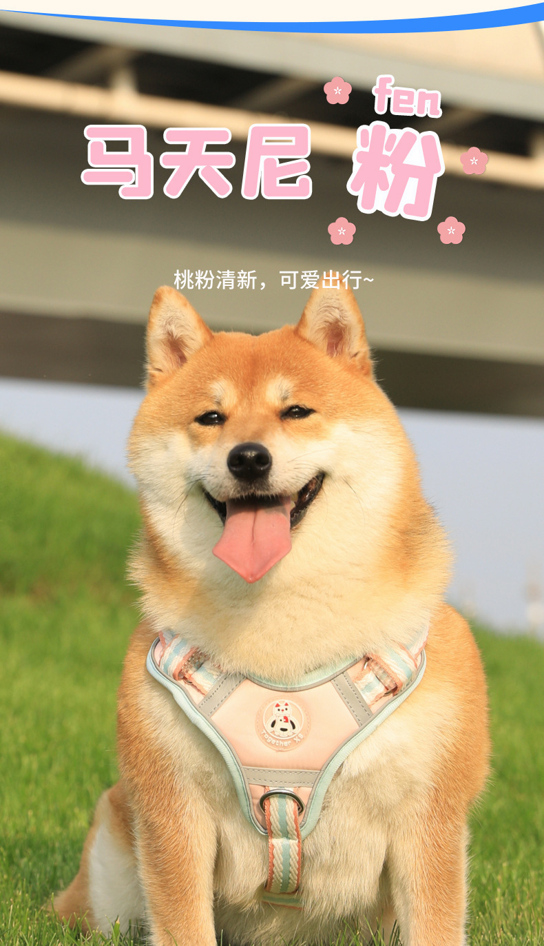 云感舒适颜值出街910胸背带柴犬款寸衫束紧夹休闲百搭女潮流夏季新款详情5