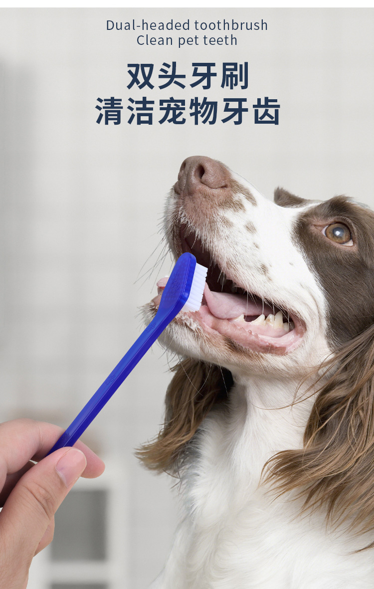 Wholesale pet toothbrushes, dog double-head toothbrushes, cat toothbrushes, dog and cat oral cleaning teeth, pet supplies pic 7