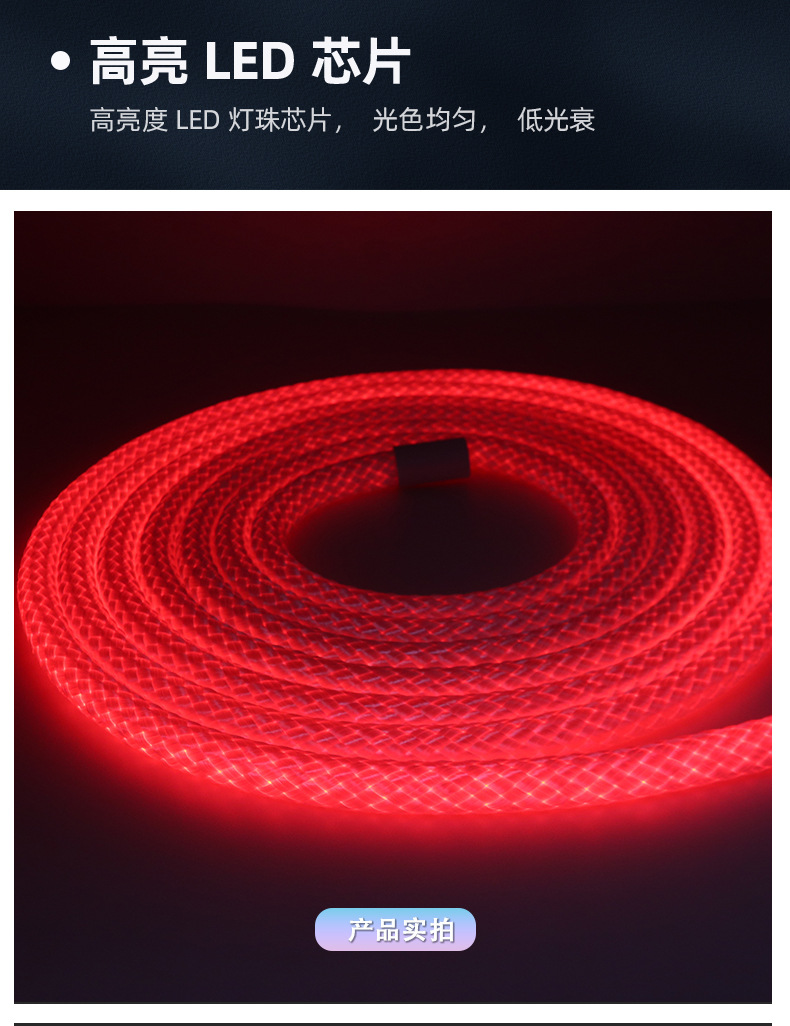 跨境专供龙纹编织幻彩灯带LED霓虹灯10mm防水Led柔性霓虹灯条形灯详情14