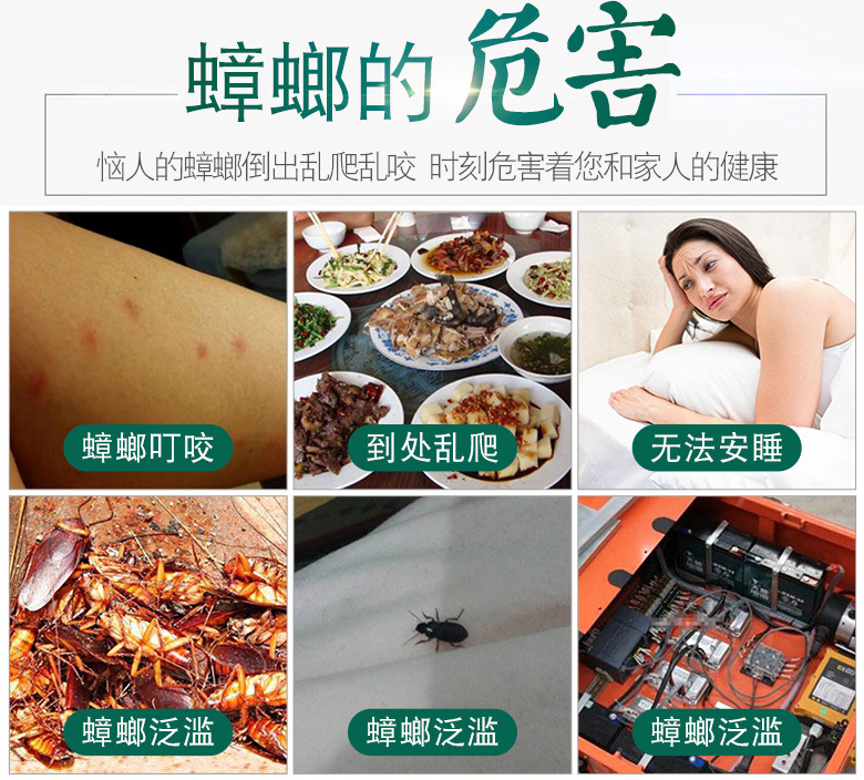 Geen leaf绿叶 外贸版灭蟑螂饵剂蟑螂 蟑螂药粉蟑螂药详情4