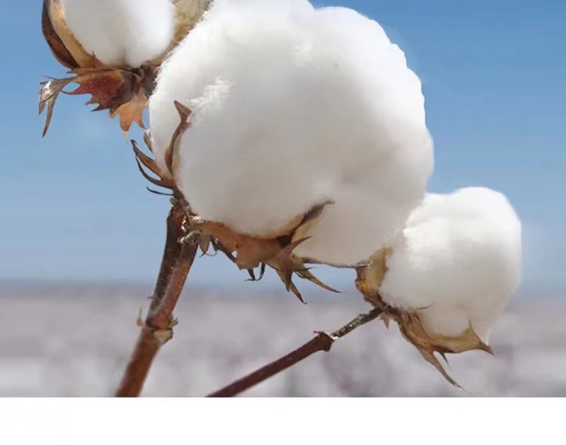 320G heavy-duty short-sleeved T-shirt for men, loose pure cotton base layer, high-end small neckline, solid color American-style T-shirt for both men and women, half sleeve pic 5