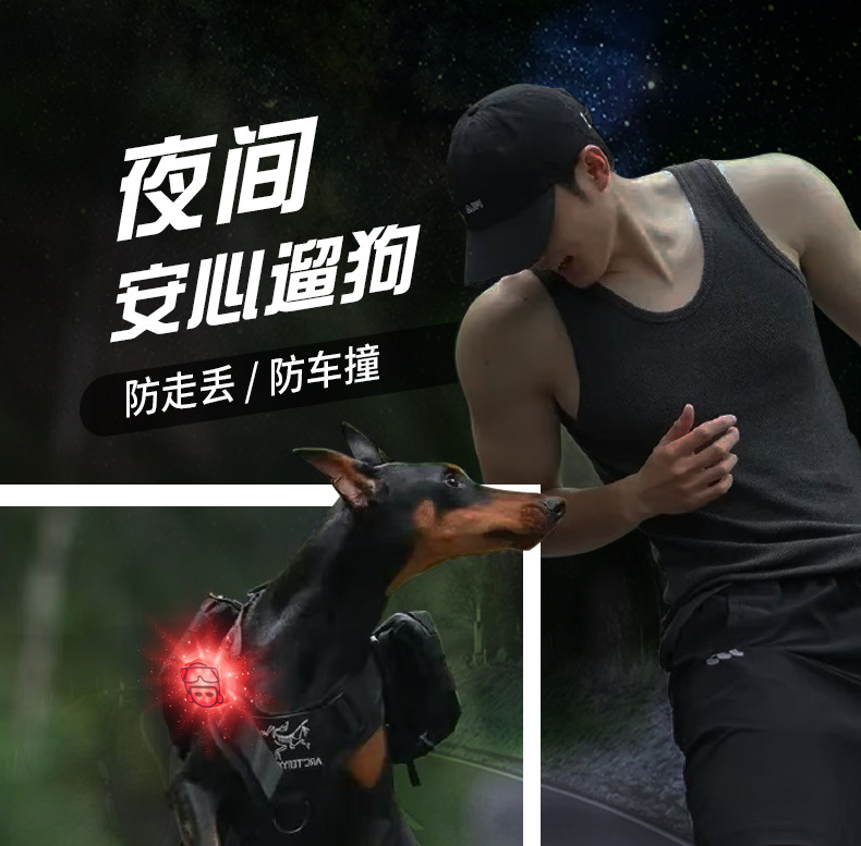 Pet night light dog walking lamp to prevent dogs from getting lost at night, illuminated pendant, charging LED warning, cat and dog flashing night walk pic 1