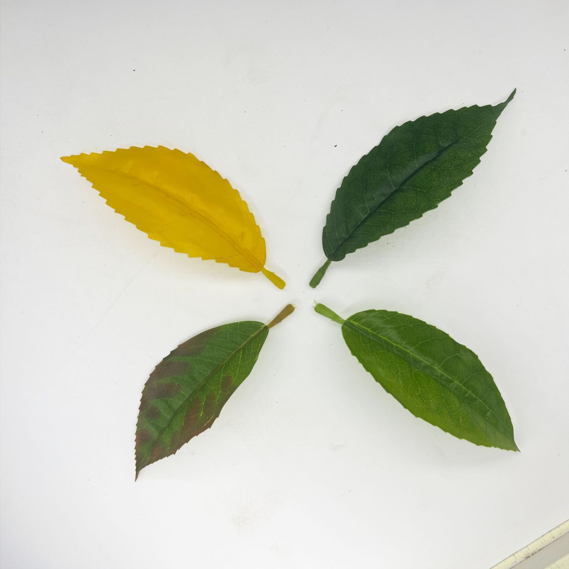 仿真红花油茶叶绿植单片毛尖茶叶绿茶大白茶红茶园林装饰摆设批发详情19