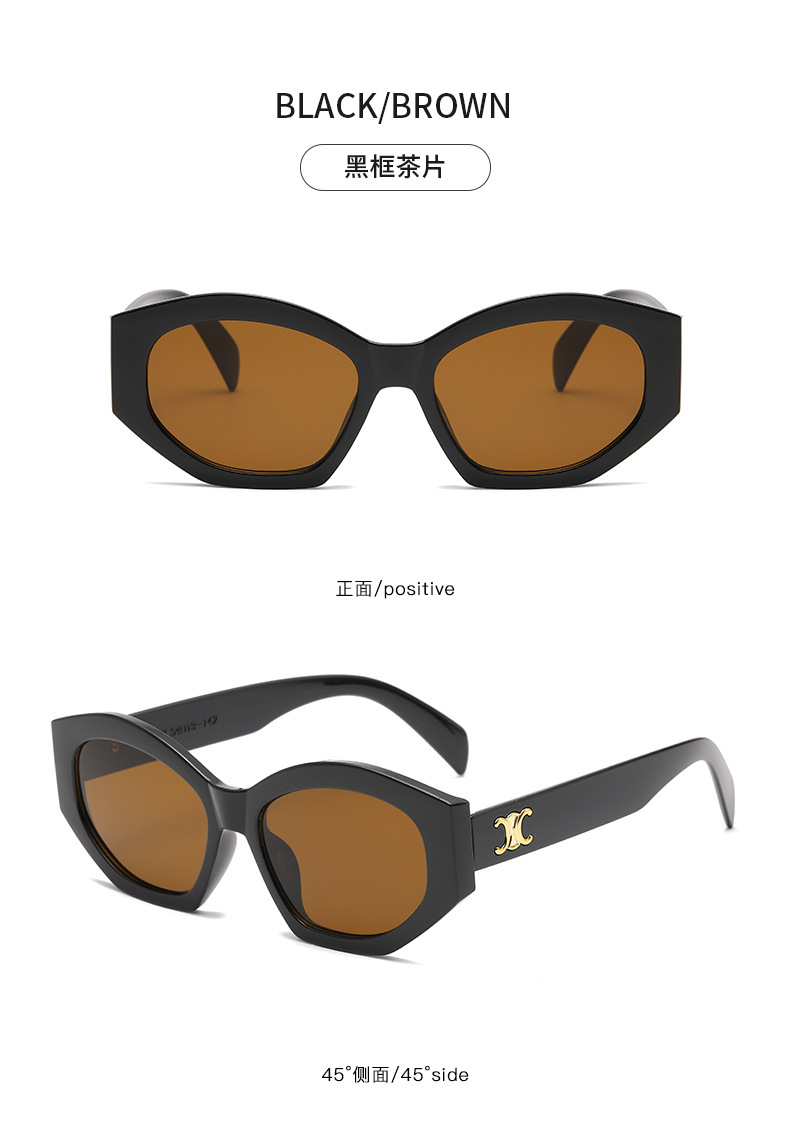 Retro triumph snow sunglasses for women, a new type of high-end oval angular sunglasses for sun protection and shading pic 31