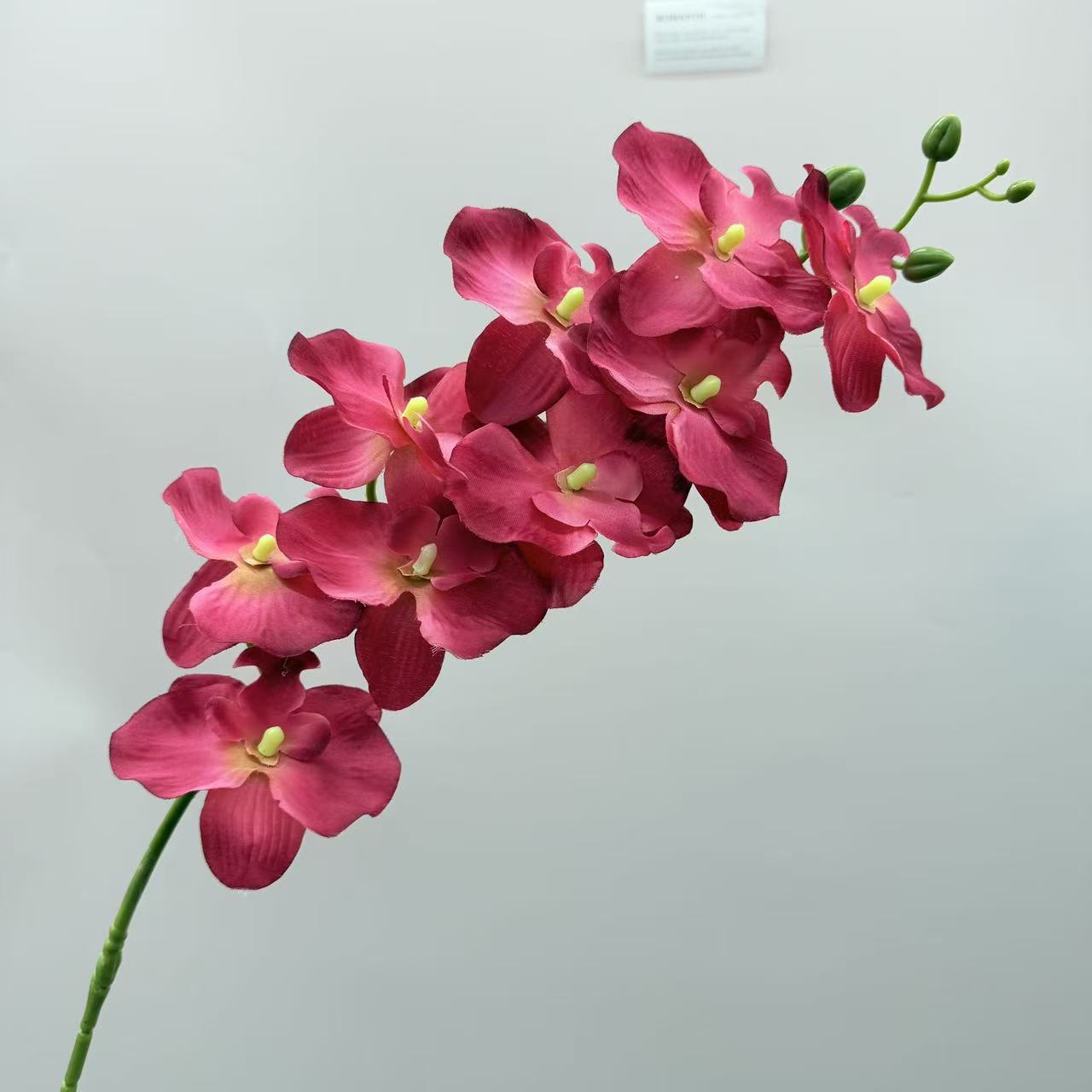 跨境仿真蝴蝶兰9头绢布客厅插花仿真花婚庆路引布景吊顶假花批发详情9