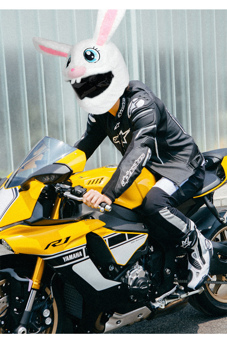 New plush motorcycle warm helmet protection cover, cartoon innovation helmet protection, fun long-eared rabbit helmet cover pic 12