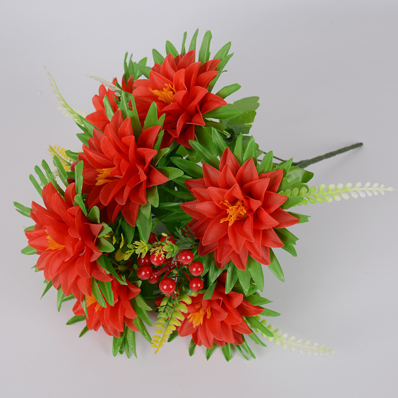 10头7耳菊01.JPG
