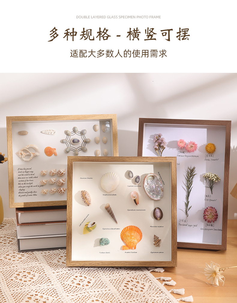 中空立体干花相框空框灯光摆台蝴蝶标本相框DIY贝壳海螺装饰画框详情6