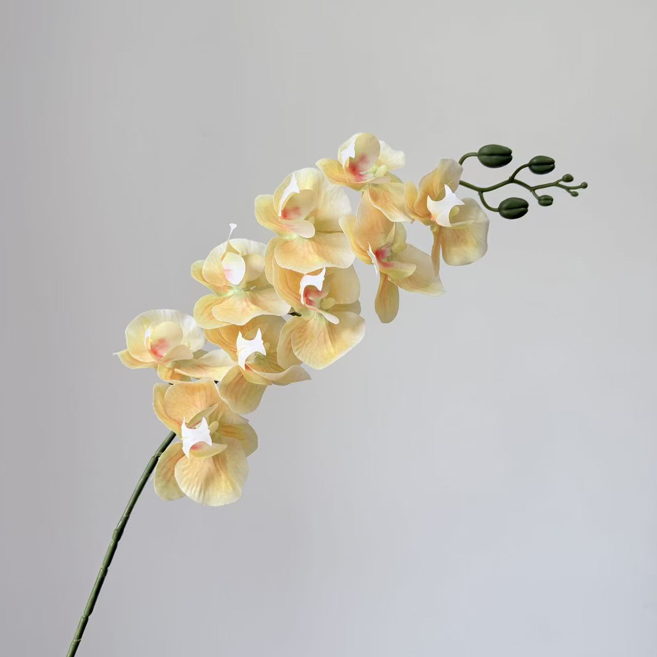 9头蝴蝶兰仿真花手感高级感逼真假花兰花艺场景布置酒店婚庆用花详情30