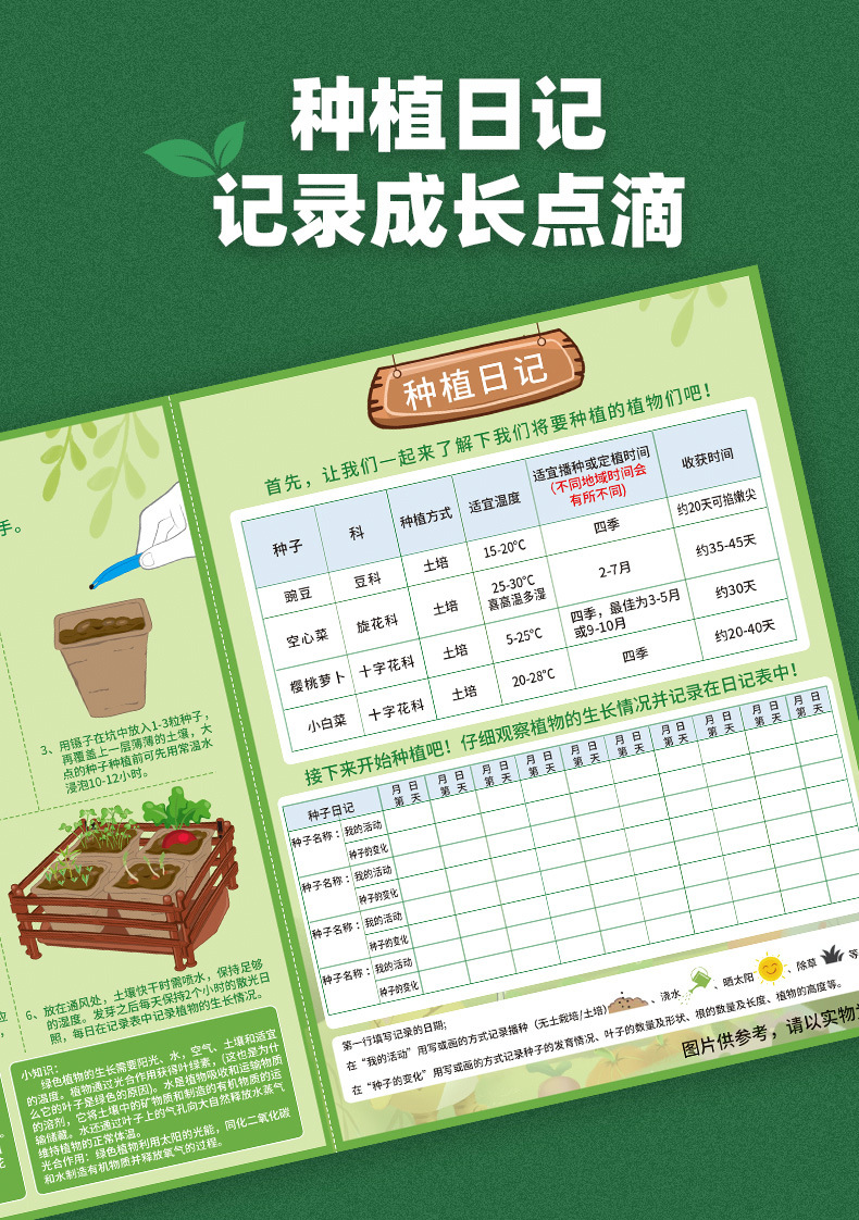 Sunshine Little Vegetable Garden Wooden Science Experiment Set DIY Dragon Boat Planting Science and Technology Small Experiment Toys pic 11