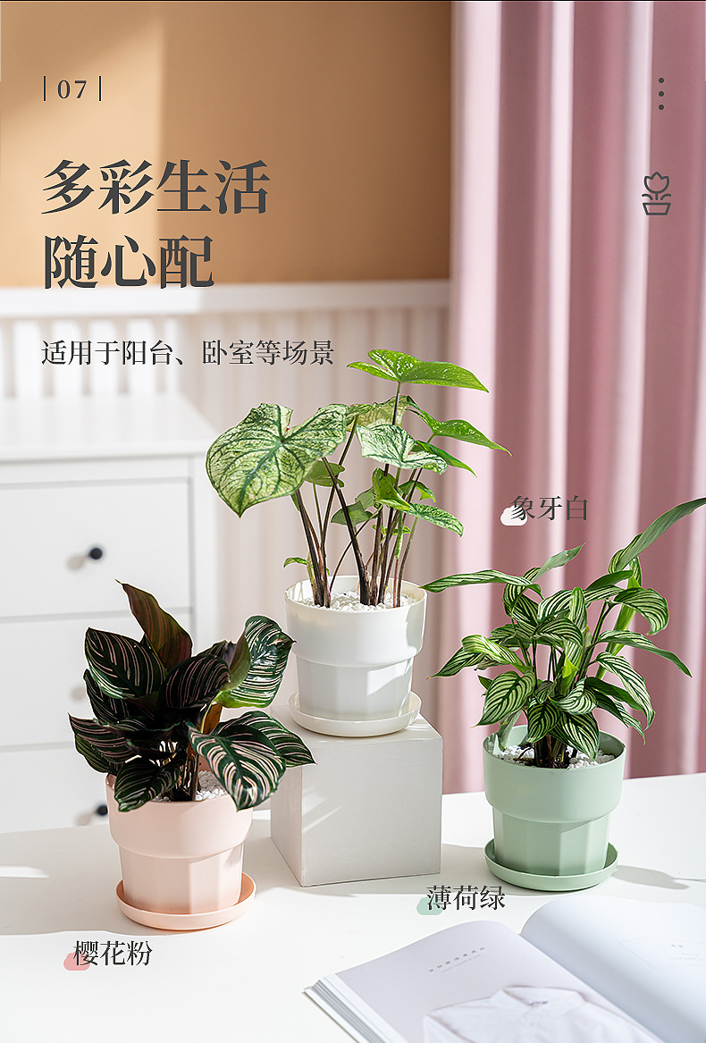 国潮北欧简约风绿萝多肉花盆塑料树脂加厚耐摔厂家直销特价桌面花盆详情10