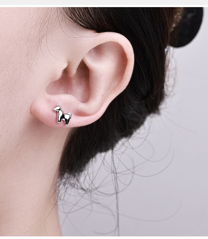Zhuoheng Select New AliExpress earrings, European and American cross-border S925 silver inlaid hip-hop style stud earrings, high-end and light luxury earrings pic 1