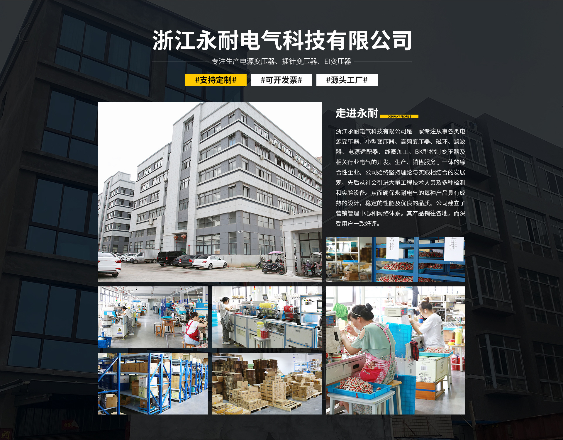 12V低频电源变压器插针电子变压器包壳灌封电源隔离微型变压器详情14